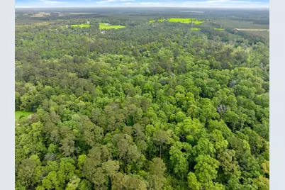 17960 Dogwood Drive, Conroe, TX 77303 - Photo 15