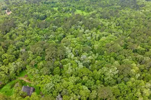 17960 Dogwood Dr, Conroe, TX 77303 - Photo 5