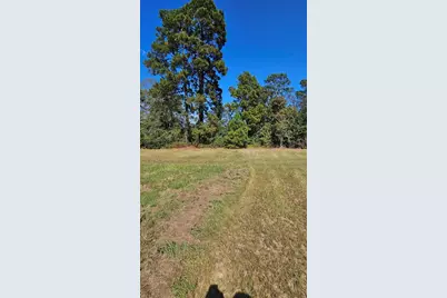 Tbd Hawthorne Road N, New Waverly, TX 77358 - Photo 3