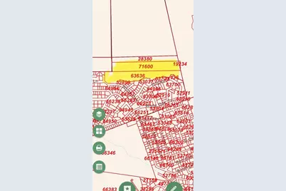 0 Pine Lane, Onalaska, TX 77360 - Photo 9