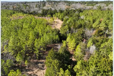 0 Kittrell Road, Oakhurst, TX 77359 - Photo 7