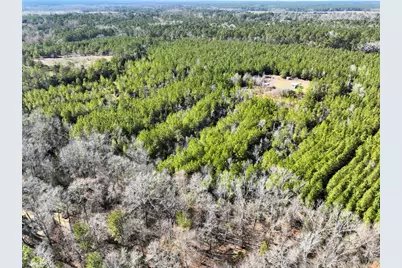 0 Kittrell Road, Oakhurst, TX 77359 - Photo 11