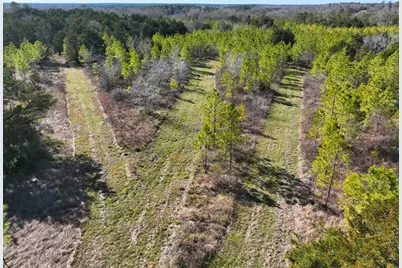 0 Kittrell Road, Oakhurst, TX 77359 - Photo 3