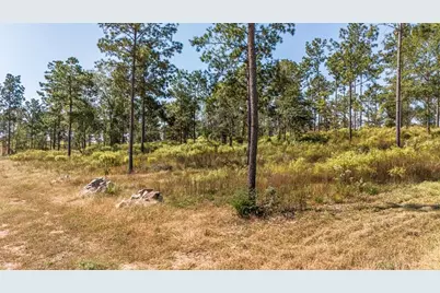 072 Western, Livingston, TX 77351 - Photo 11