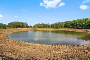 6123 Alans Memorial Ln, New Waverly, TX 77358 - Photo 5