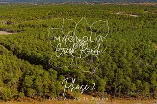 0212 Fm 3459 Rd, Onalaska, TX 77360 - Photo 1