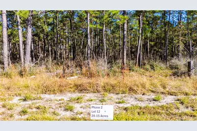 0212 Fm 3459 Road, Onalaska, TX 77360 - Photo 5