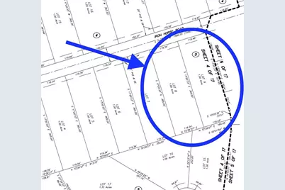 344 Iron Horse Road, Willis, TX 77378 - Photo 5