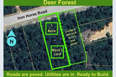 344 Iron Horse Road, Willis, TX 77378 - Photo 1