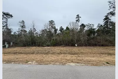 344 Iron Horse Road, Willis, TX 77378 - Photo 7