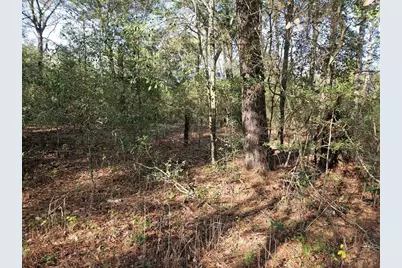 0001 Pinecone Lane, Plantersville, TX 77363 - Photo 1