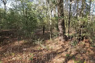 0001 Pinecone Ln, Plantersville, TX 77363 - Photo 1