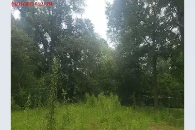 868 S Main Street, Jasper, TX 75951 - Photo 3