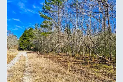 Tbd Veal Street, Chester, TX 75936 - Photo 1