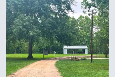 Tbd Little Creek Drive, Coldspring, TX 77331 - Photo 11