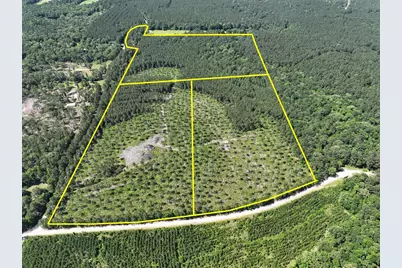 36 Westville Road, Groveton, TX 75854 - Photo 1