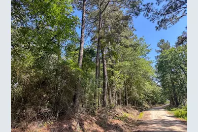 36 Westville Road, Groveton, TX 75854 - Photo 3