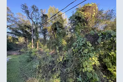 1900 Link Avenue, Orange, TX 77630 - Photo 3