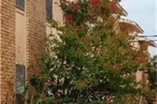 500 E 7th St, Springtown, TX 76082 - Photo 3