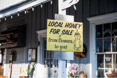 Lot 20 Sunny Meadow Drive, Chappell Hill, TX 77426 - Photo 31