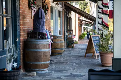 Lot 20 Sunny Meadow Drive, Chappell Hill, TX 77426 - Photo 15