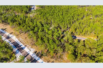 0313 King Ranch Road South, Onalaska, TX 77360 - Photo 13