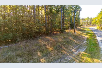 0313 King Ranch Road South, Onalaska, TX 77360 - Photo 21