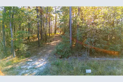 0313 King Ranch Road South, Onalaska, TX 77360 - Photo 23