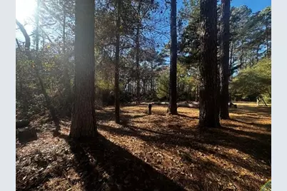 Tbd Lot 41 Cherokee Ln, Waller, TX 77445 - Photo 3