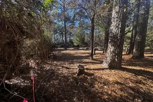 Tbd Lot 41 Cherokee Ln, Waller, TX 77445 - Photo 1