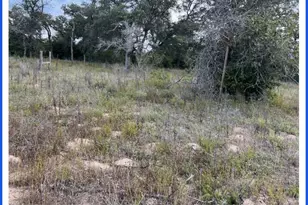 Tr 12 Private Rd, Seguin, TX 78155 - Photo 5