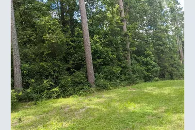 Lot 21 Gnu Street, Onalaska, TX 77360 - Photo 23