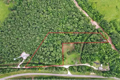 Tbd Ryan Ferry Road, Point Blank, TX 77364 - Photo 11