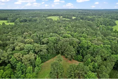 Tbd Ryan Ferry Road, Point Blank, TX 77364 - Photo 35