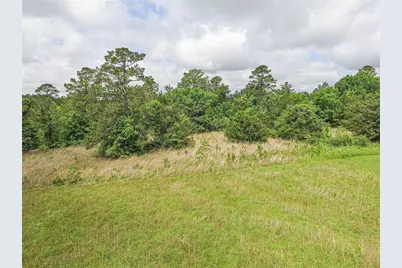 000 N Washington Avenue, Livingston, TX 77351 - Photo 17