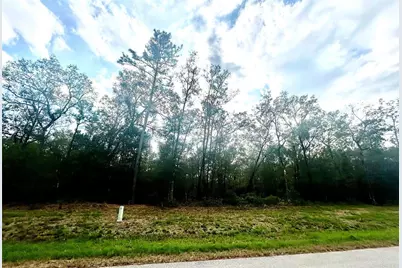 1535 County Road 632, Dayton, TX 77535 - Photo 3