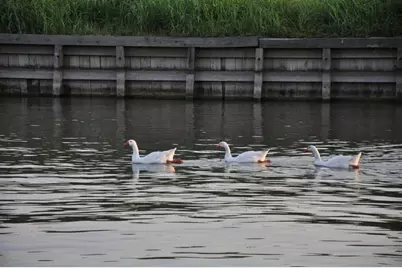 0 Walden, Conroe, TX 77356 - Photo 9