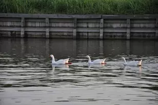 0 Walden, Conroe, TX 77356 - Photo 9