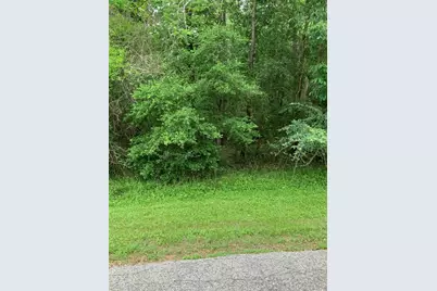 Lot 10 Idlewilde Drive, Onalaska, TX 77360 - Photo 7