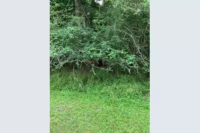 Lot 10 Idlewilde Drive, Onalaska, TX 77360 - Photo 5