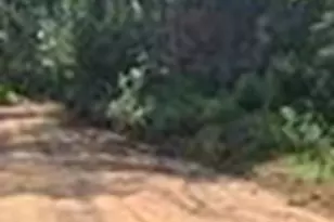 Tbd Tanyard Rd, Conroe, TX 77303 - Photo 5