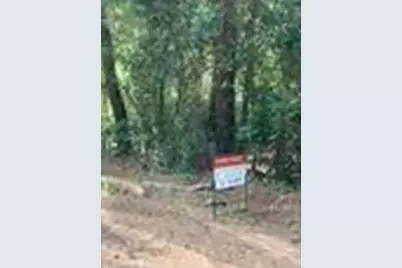 Tbd Tanyard Rd, Conroe, TX 77303 - Photo 3