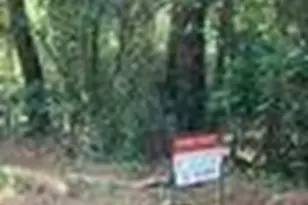 Tbd Tanyard Rd, Conroe, TX 77303 - Photo 3