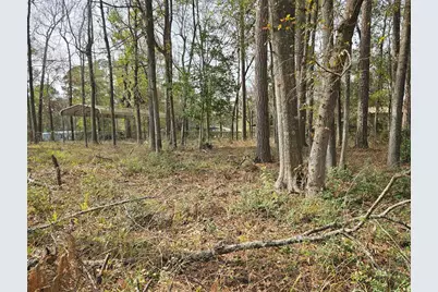 149 Honeysuckle, Livingston, TX 77351 - Photo 3