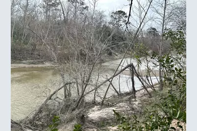 0 Redbud Drive, Conroe, TX 77302 - Photo 7