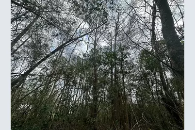 0 Redbud Drive, Conroe, TX 77302 - Photo 13