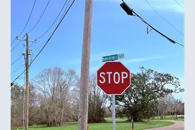 1370 Broken Arrow Trail, Angleton, TX 77515 - Photo 13