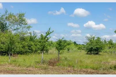 6549 Atakapan Trail, Bedias, TX 77831 - Photo 3