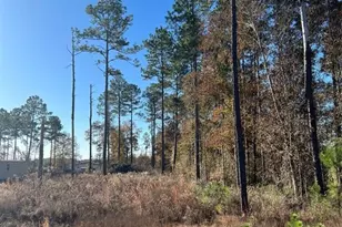 366 County Rd 5021, Cleveland, TX 77327 - Photo 1