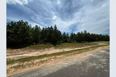 15925 Ridge Oak Road, Willis, TX 77378 - Photo 7